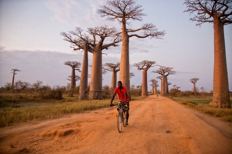 Viaje Fotográfico Madagascar