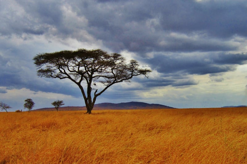 Viaje Fotográfico Tanzania