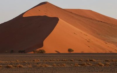 5 razones para realizar un viaje fotográfico a Namibia