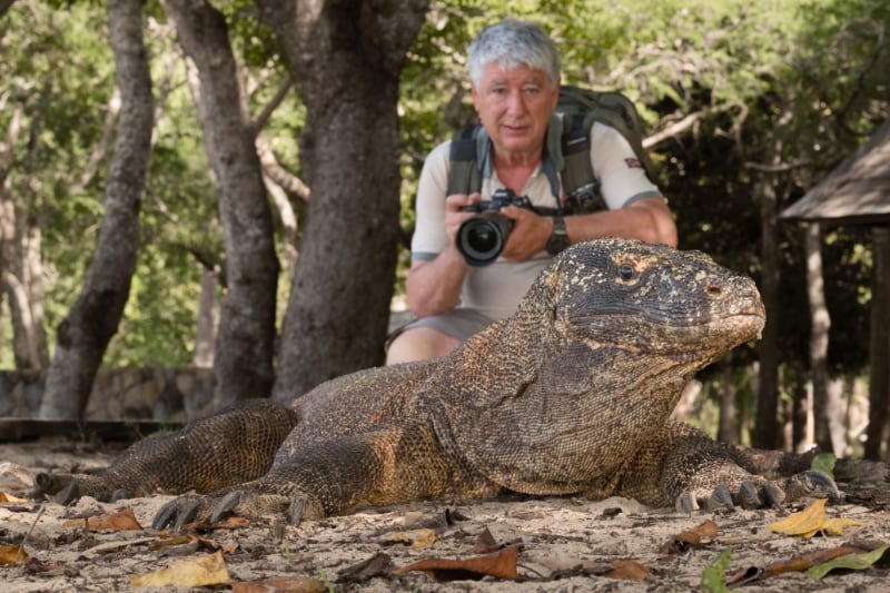 Fotografiando Dragon de Komodo Indonesia - Viajes Artisal travel