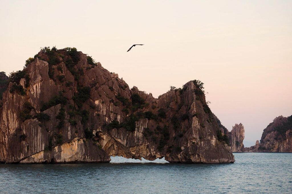 Vietnam Yolanda Andres