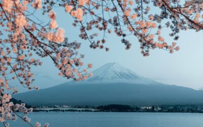 Descubre el Hanami