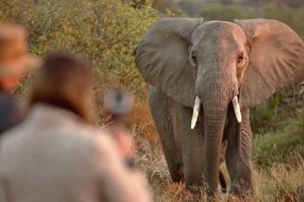 Artisal Travel Photography - Viajes Fotográficos - Viaje Fotográfico Zimbabue